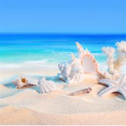 Playa dorada
