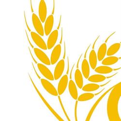 Associazione GRANO ODV