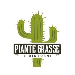 Piante Grasse e dintorni