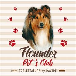 Flounder Pet's Club