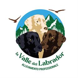 La Valle dei Labrador