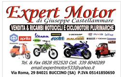 Expert Motor