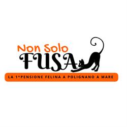Non Solo Fusa - Pensione Felina