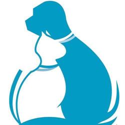 Ambulatorio Veterinario Terra D’Arneo