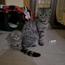 Ambulatorio Mi Fido di Te