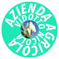 Azienda agricola Vidotto Nicola