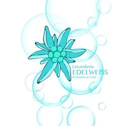Lavanderia Edelweiss