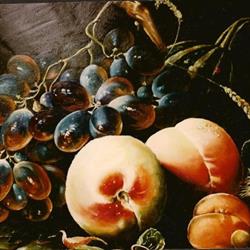 Decoreria restauri e decorazioni artistiche