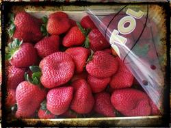 Sicilfrutta