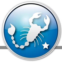 New Estetic Distributore Estetica Professionale