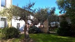 B&B Villa Cantarutti