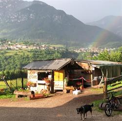 Azienda Agricola Sommavilla Susan