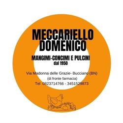 Domenico Meccariello