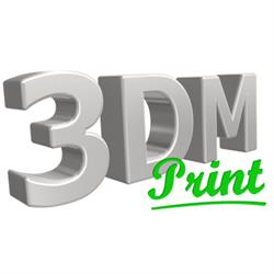 3DM Print
