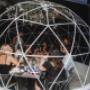 Igloo experience