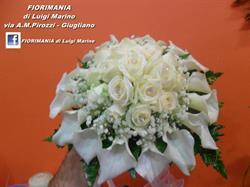 Fiorimania Giugliano