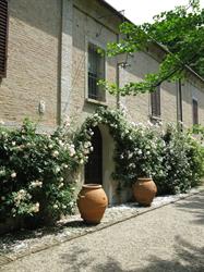 Palazzo San Lazzaro Imola