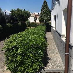 VILLA ROSA . Casa alloggio per anziani