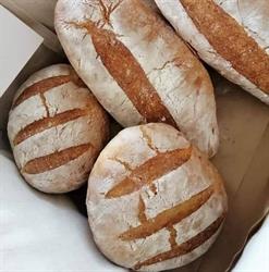 Panificio fior di pane di Buscaglia Nicolò