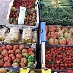 Alfa frutta