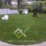 Gallery Professionale