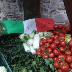 L'Oasi della Frutta