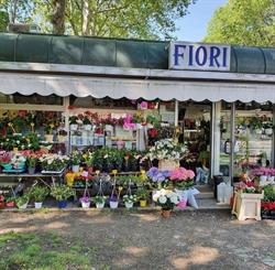 I Fiori dell'Elefante