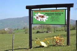 Camporesi Società Agricola
