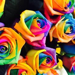 Lorusso Fiori e Piante