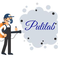 Pulilab