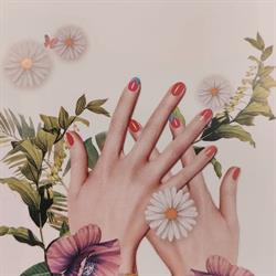 Beauty nails Treviso