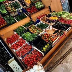 I sapori dell'orto