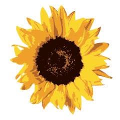 Il Girasole pizza al taglio - Pistoia
