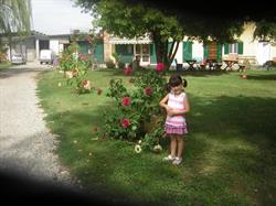 Azienda agricola Sampietro