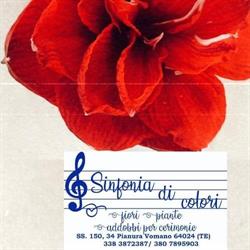 Sinfonia di Colori - fiori e piante, Guardia Vomano