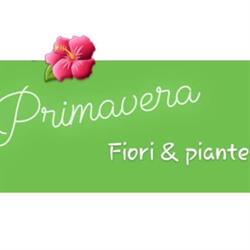 Primavera Fiori e Piante