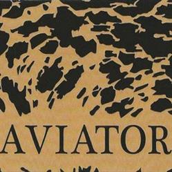 Aviator abbigliamento