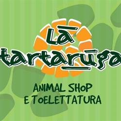 La Tartaruga