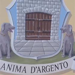 Weimaraner Dell'Anima D'argento