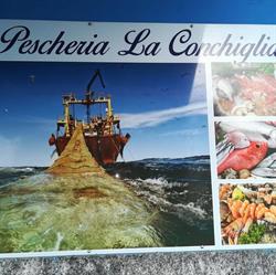 Pescheria La Conchiglia - di Feola Salvatore