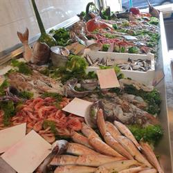 Pescheria Da Gerarda Pescheria 'oasi del mare