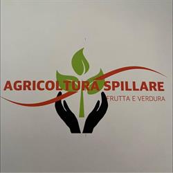 Agricoltura Spillare Denis