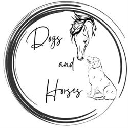 Dogs And Horses Centro Cinofilo