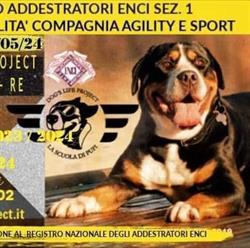 La scuola di Pupi by Dog's Life Project