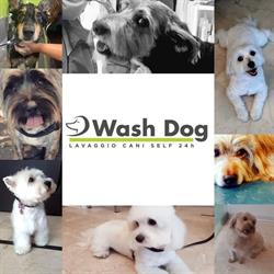 Wash Dog Brescia Via del Sebino