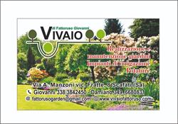 Vivaio Fattoruso