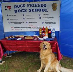 Dogs friends chiara ferri educatore cinofilo