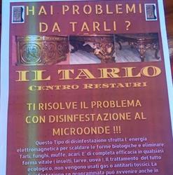Il Tarlo Restauro Ligneo