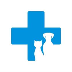 Clinica Veterinaria Dott.ssa Angela Spadaro