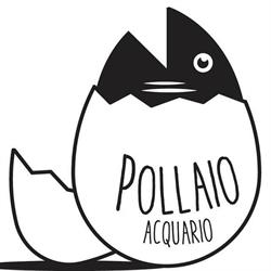 Pollaio